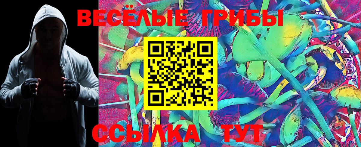 Галлюциногенные грибы GOLDEN TEACHER Батайск